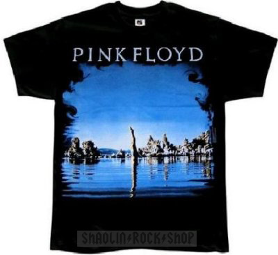 Pink Floyd Playera Wish You Were Here